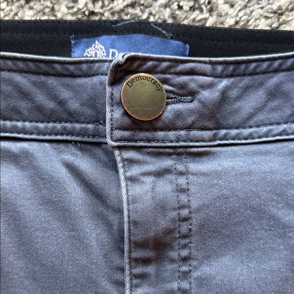 Democracy Absolution Gray Pants - image 6